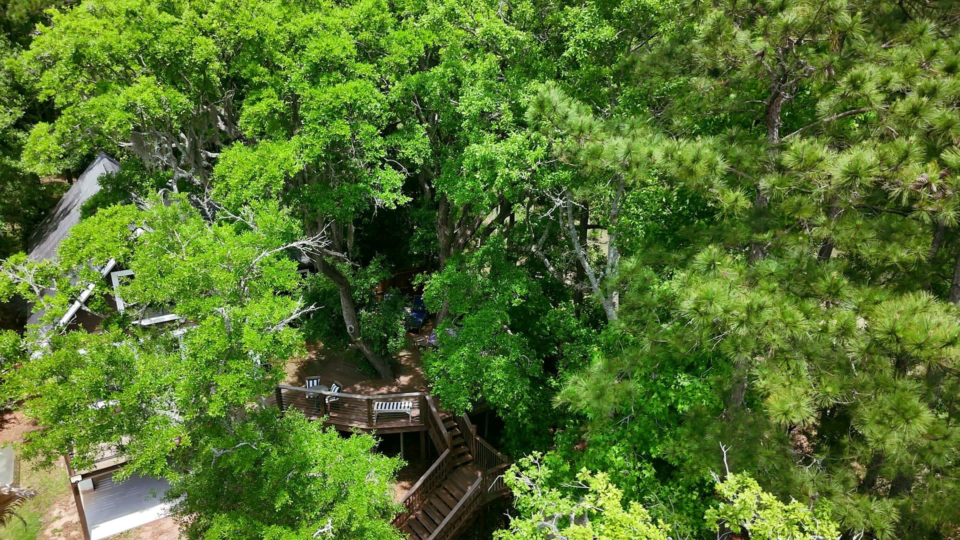 Charleston Treehouse marsh view at sunset