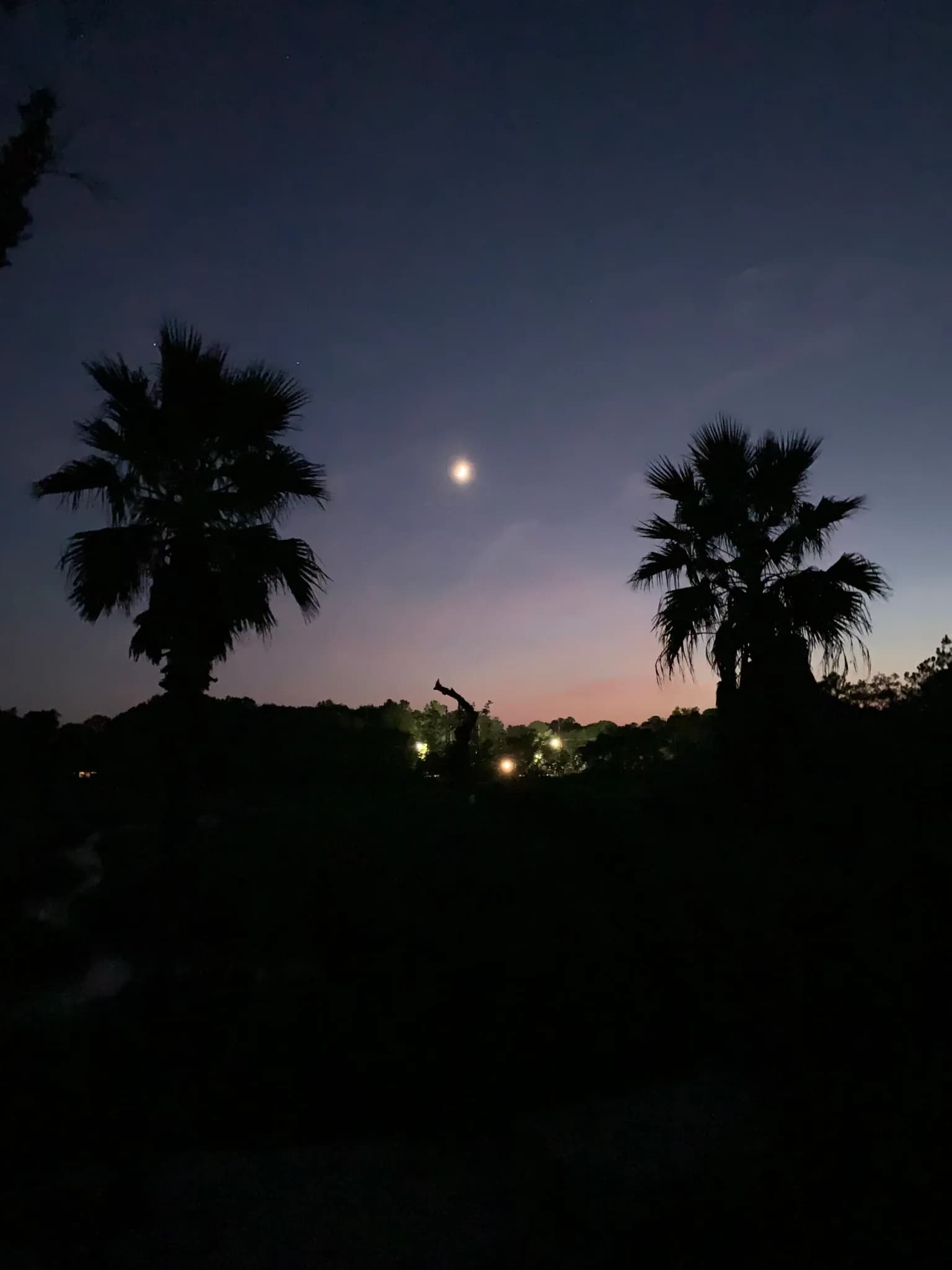Charleston Area View