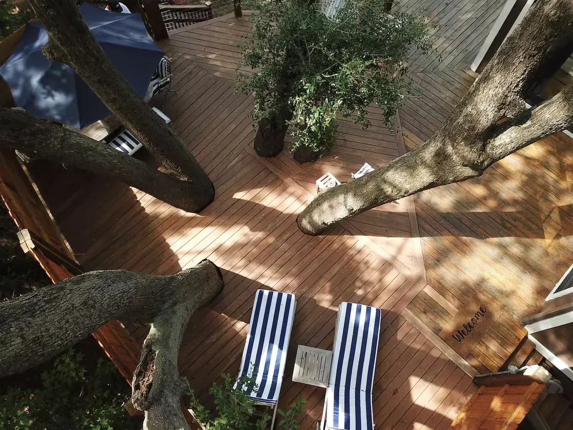 The Charleston Treehouse deck looking out over the tree canopy
