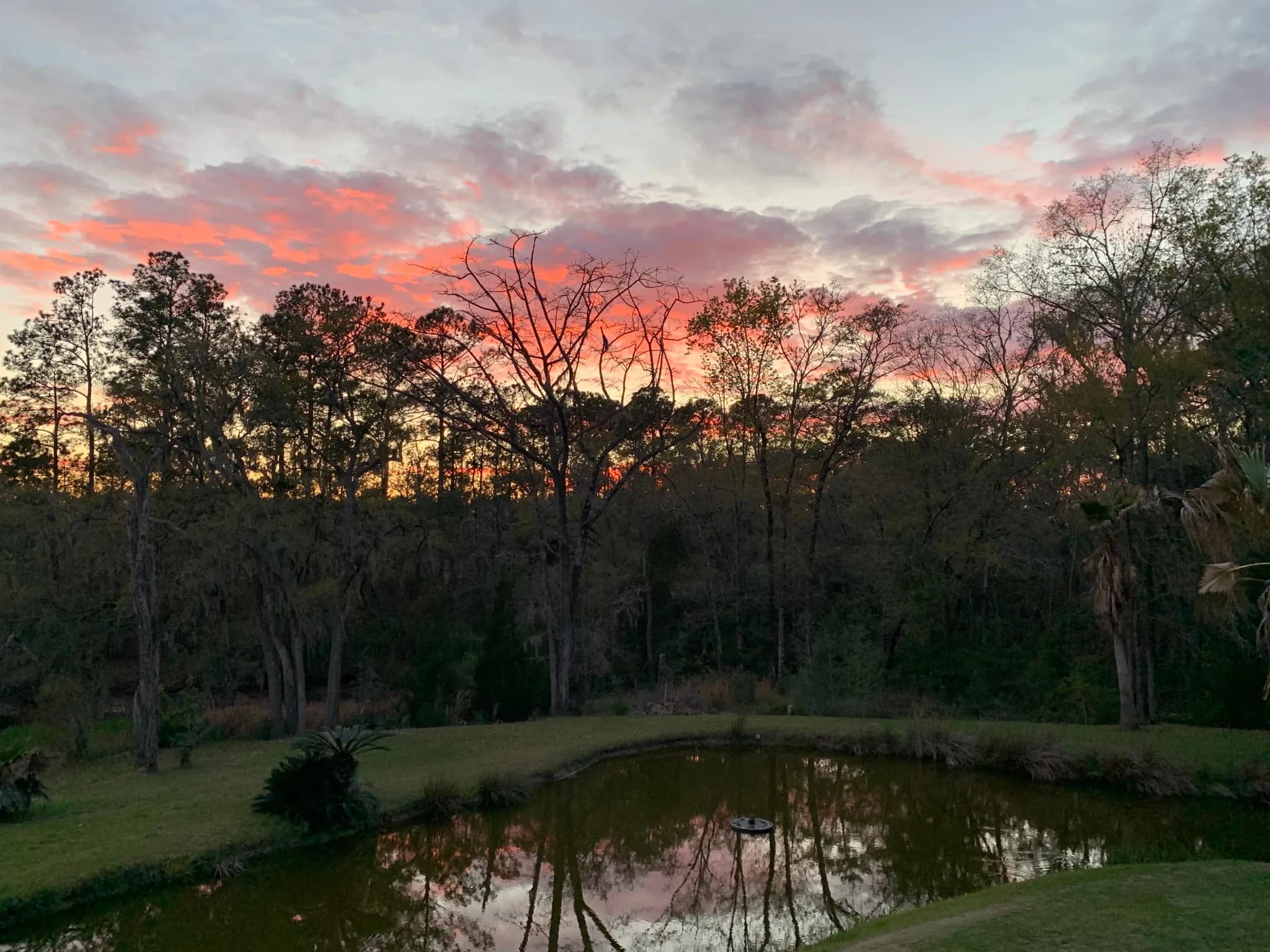 A tidal pond at dusk on Johns Island near Charleston Treehouse